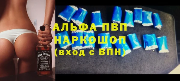 индика Корсаков