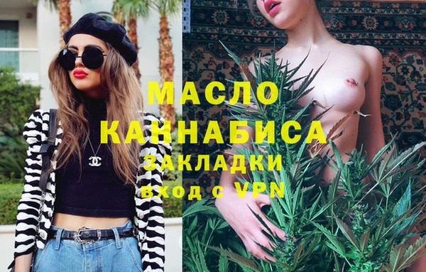 индика Краснотурьинск