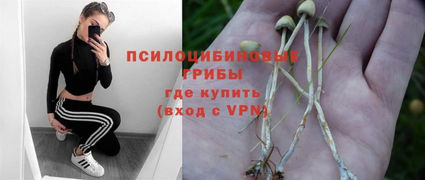 индика Корсаков