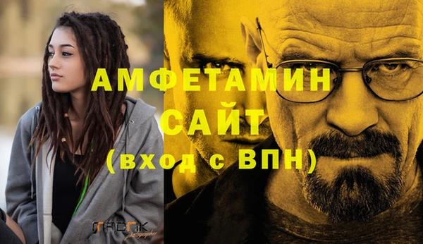 ГАЛЛЮЦИНОГЕННЫЕ ГРИБЫ Коряжма