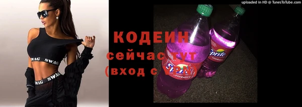 индика Корсаков