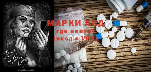 ГАЛЛЮЦИНОГЕННЫЕ ГРИБЫ Коряжма