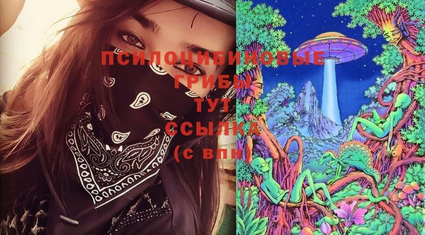 индика Корсаков