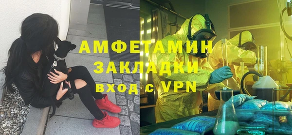 ГАЛЛЮЦИНОГЕННЫЕ ГРИБЫ Коряжма