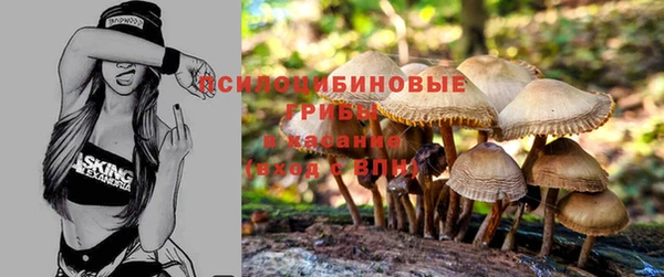 spice Костерёво