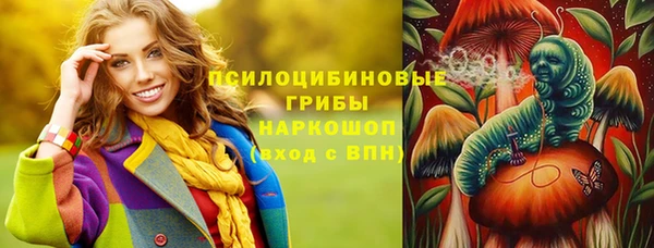винт Краснослободск