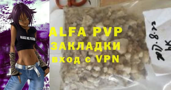 индика Корсаков