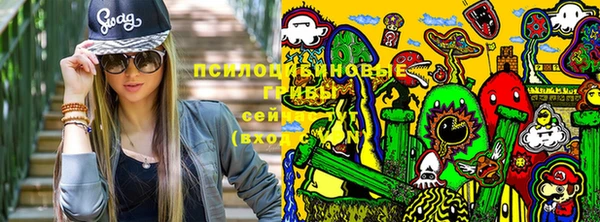 индика Корсаков