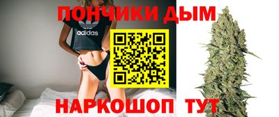 стаф Кандалакша