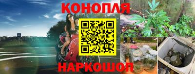 гидра Ипатово
