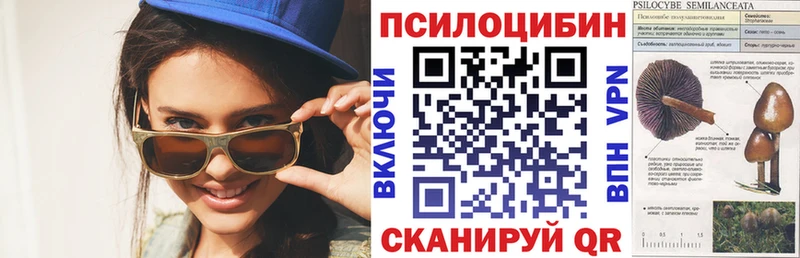 Галлюциногенные грибы мицелий где найти наркотики Курчатов